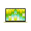 Apple MacBook neo notebook 13