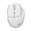 Mouse RGB Sharkoon officepal M25W inalámbrico 2.4 GHz 4000 dpi 4044951039654