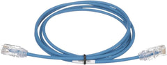 Conexión de red de alta velocidad con Patch Cord Panduit azul