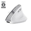 Trust mouse vertical ergonómico inalámbrico bayo blanco recargable 25398
