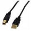 Cable USB tipo Xtech a a tipo b 3.04 m XTC-303