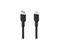 Belkin boost charge cable lightning a USB negro 1 m CAA001BT1MBK