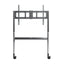 ViewSonic carrito pantalla interactiva 65-105 VB-STND-009