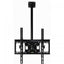 Rack Loctek PSR110M techo giro 90°