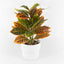Planta croton artificial 10 x - 25 cm