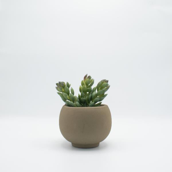 Suculenta artificial con maceta de cemento Imagen secundaria del producto