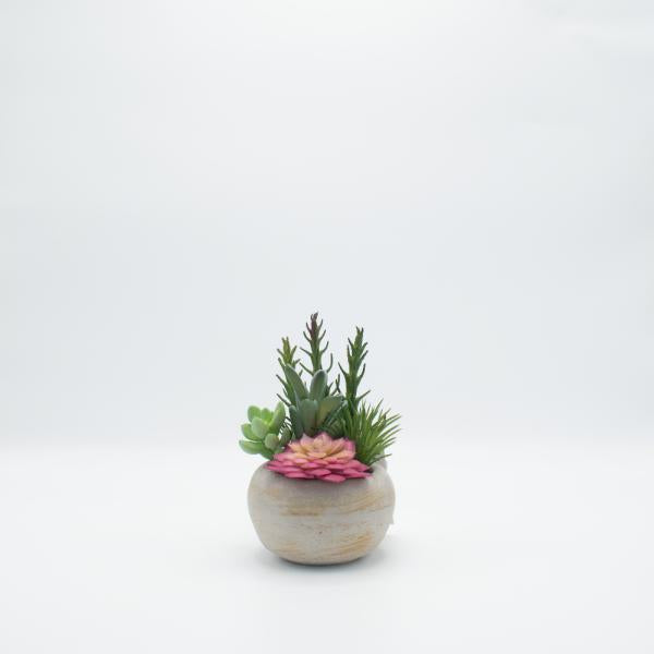 Terrario suculenta florero ceramico Imagen secundaria del producto