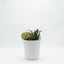 Planta artificial terrario florero ceramico