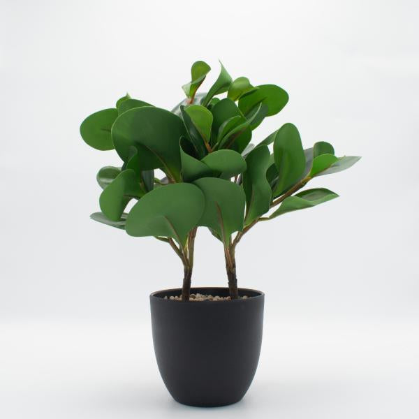 Planta artificial jade 33 cm x 11 cm florero plastico Imagen principal del producto