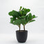 Planta artificial jade 33 cm x 11 cm florero plastico