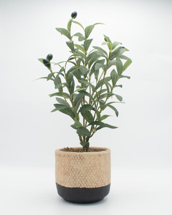 Olivo artificial 50 cm maceta concreto Imagen secundaria del producto