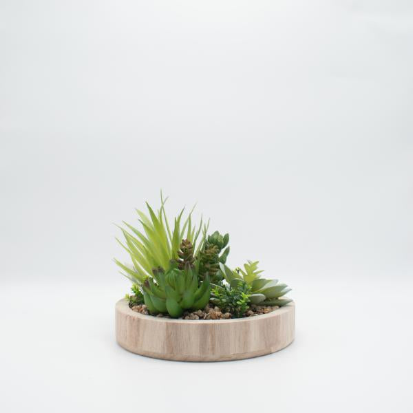 Terrario base de madera decorativo Imagen secundaria del producto