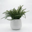 Helecho artificial 30 x 15 cm florero cerámico