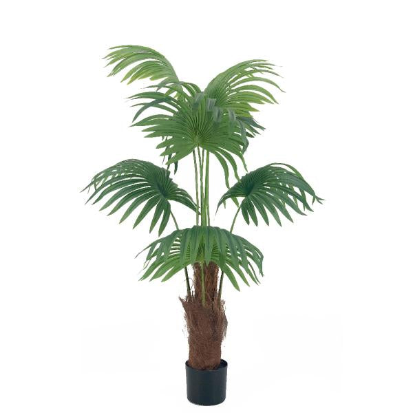 Palmera artificial de livistona - 150 cm Imagen principal del producto