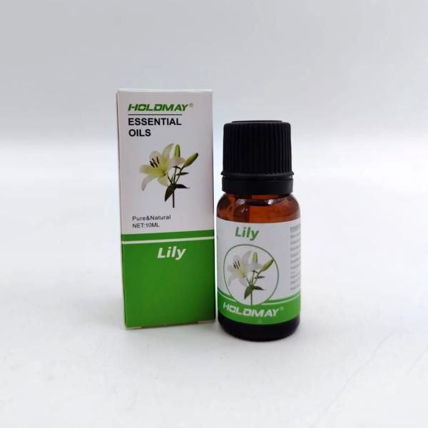 Holdmay esencia para difusor KP-2110