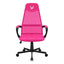 Formula V Line Silla Ergo Mesh Ergolux 1 Rosada