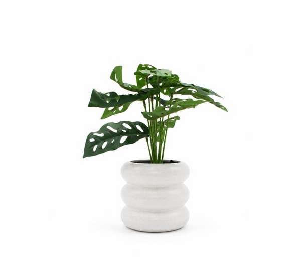 Monstera 12CM de Ancho X 30CM de Alto Florero Ceramico Blanco