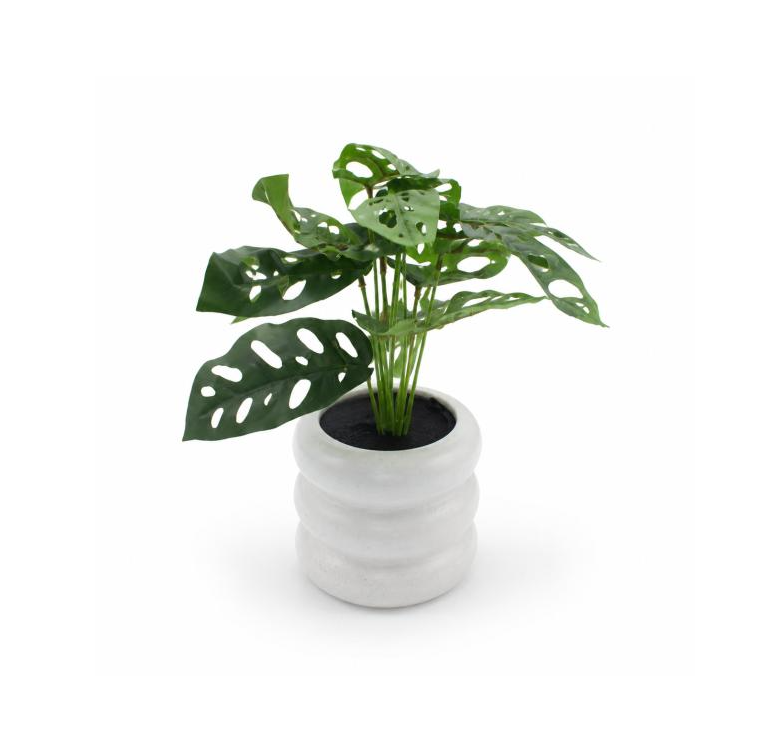 Monstera 12CM de Ancho X 30CM de Alto Florero Ceramico Blanco