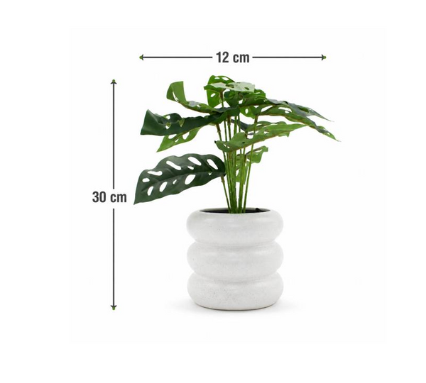 Monstera 12CM de Ancho X 30CM de Alto Florero Ceramico Blanco