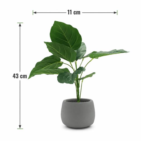 Filodendro 43CM de Alto X 11CM de Ancho Maceta Concreto Gris