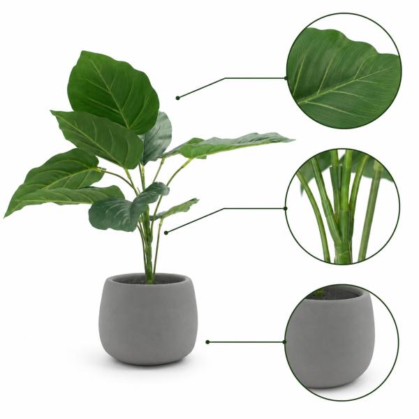 Filodendro 43CM de Alto X 11CM de Ancho Maceta Concreto Gris