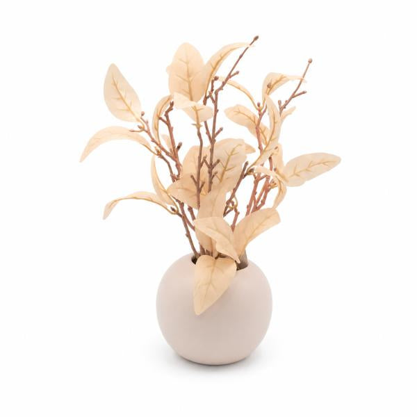 Hojas Secas Florero Ceramico Palo Rosa