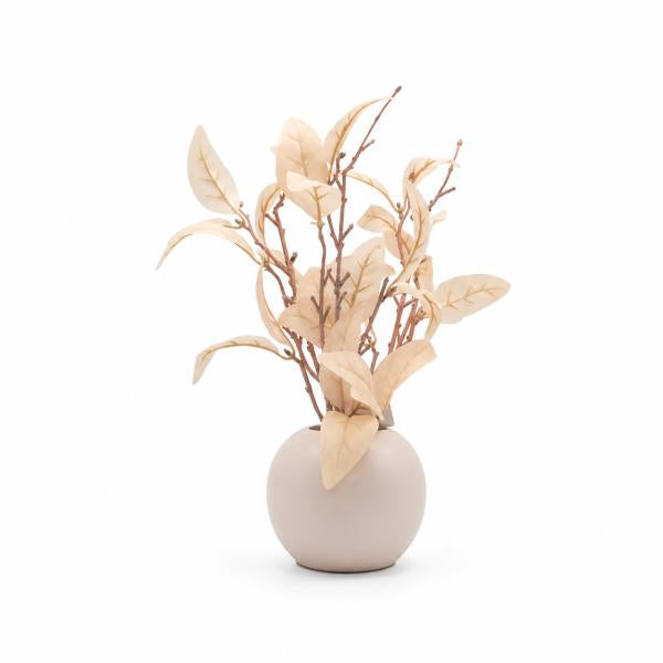 Hojas Secas Florero Ceramico Palo Rosa