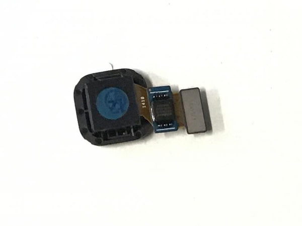 Flex Camara Trasera Samsung Galaxy Alpha G850