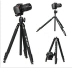 Tripode WT-6662A