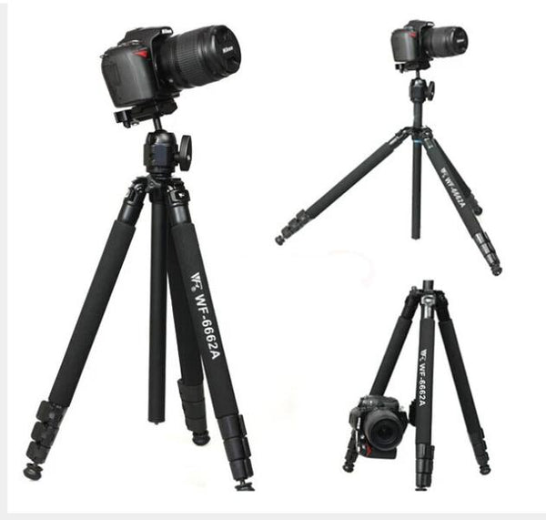 Tripode WT-6662A