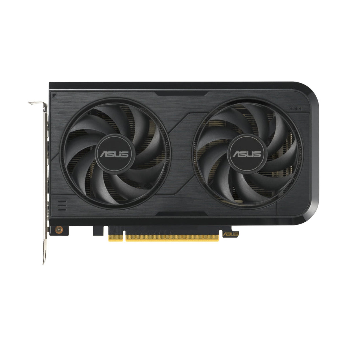 ASUS tarjeta de video 8 GB GDDR6 dual RTX 5050 O8G Imagen principal del producto