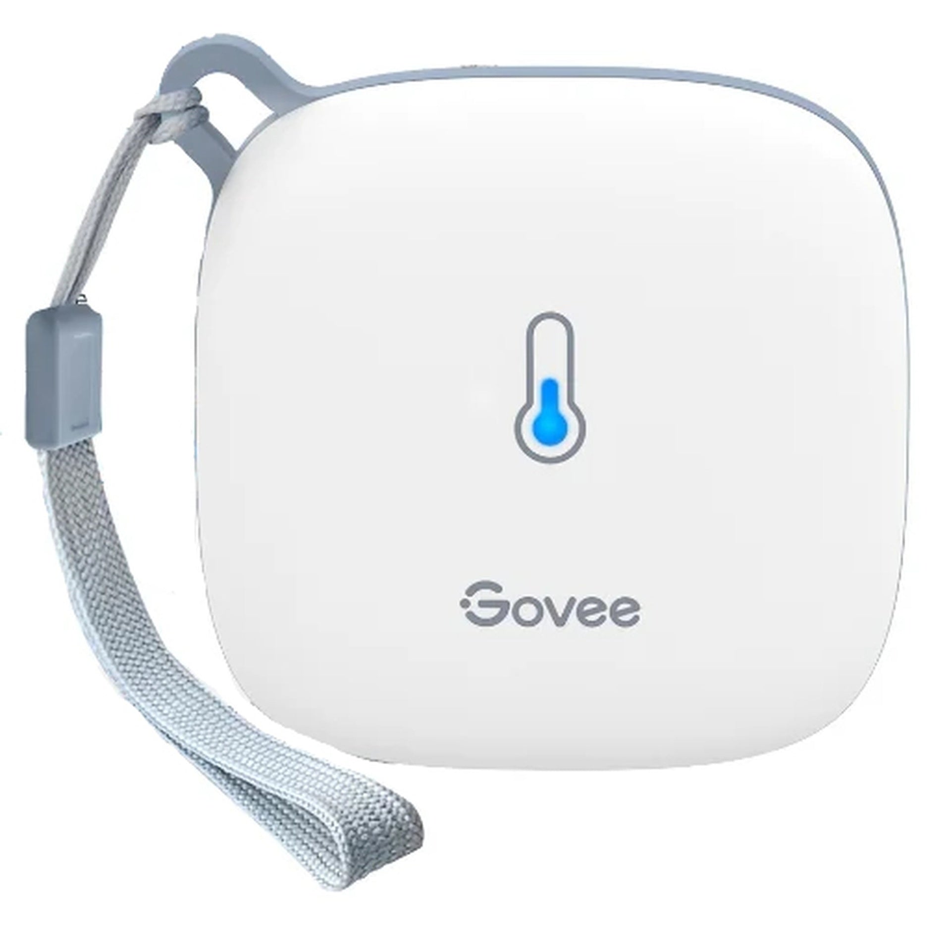 Govee termómetro-higrómetro H5179 WIFI monitorea humedad Imagen principal del producto