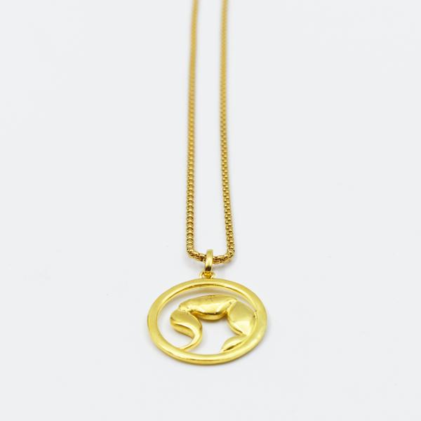 Collar Marketing BR-01 Marvo