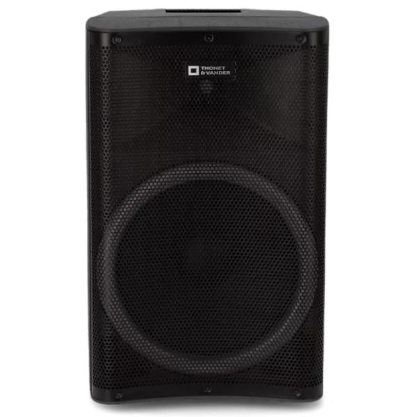 Parlante Thonet & Vander STARKG2 250W Bluetooth / Rca con Microfono Inalámbrico HK096-03646 - Negro