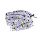 Wangli Tira LED 2835 Luz Calida Interperie 24V