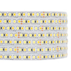 Tira LED Wangli 2835 Blanca 10M - Decoración Hogar