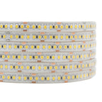 Tira LED Wangli 2835-120D Blanca 10M - Iluminación Hogar