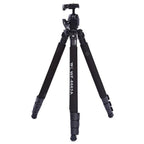 Tripode WT-6662A