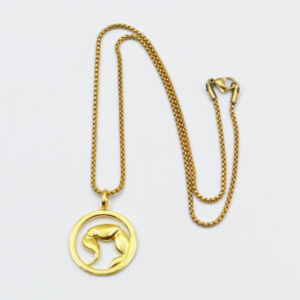 Collar Marketing BR-01 Marvo