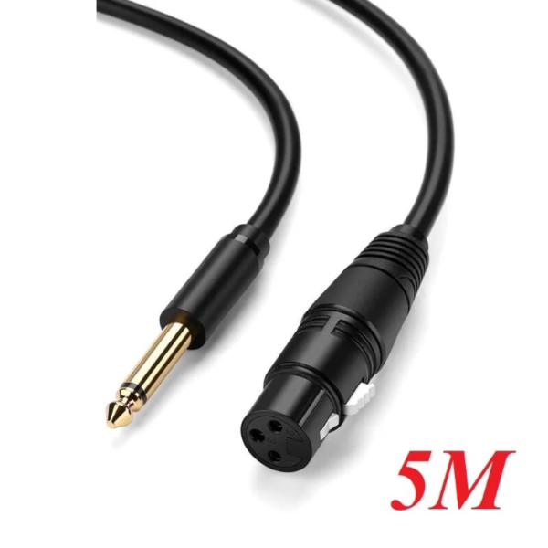 Cable 6.35mm a Xlr Hembra AV131 20721 Ugreen - 5M Negro