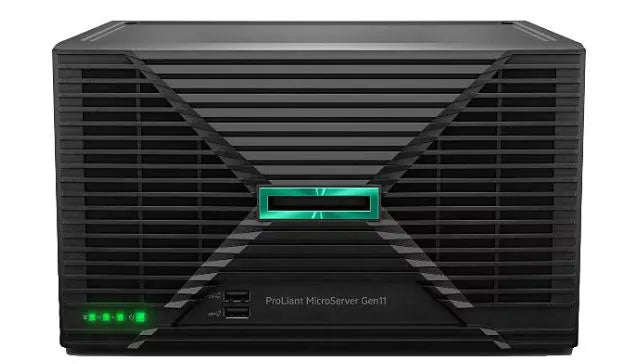 HPE MicroSvr G11 6325P 1x16G NHP HDD Svr