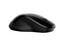 HP mouse inalámbrico dual wireless 250 6v2j7aaabl