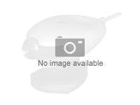 Hikvision - Surveillance camera - DS-2DE5425IW-AE