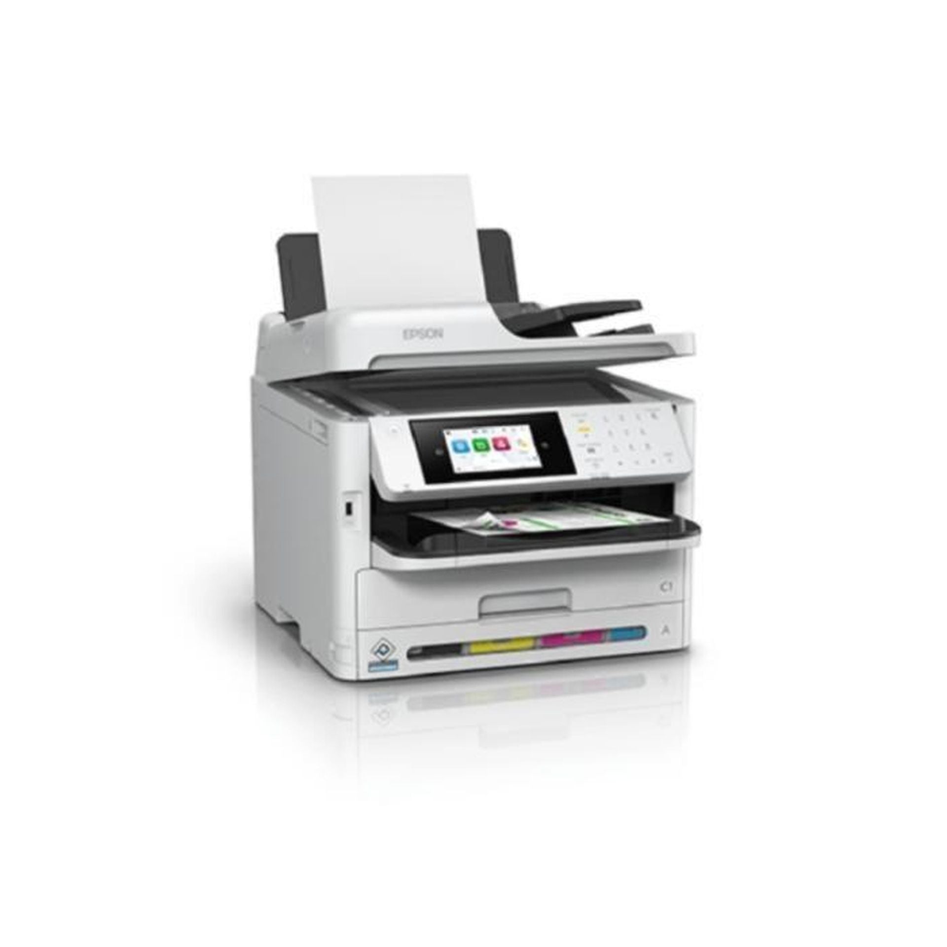 Image 3