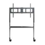 ViewSonic carrito VB-STND-009 para pantallas LCD interactivas