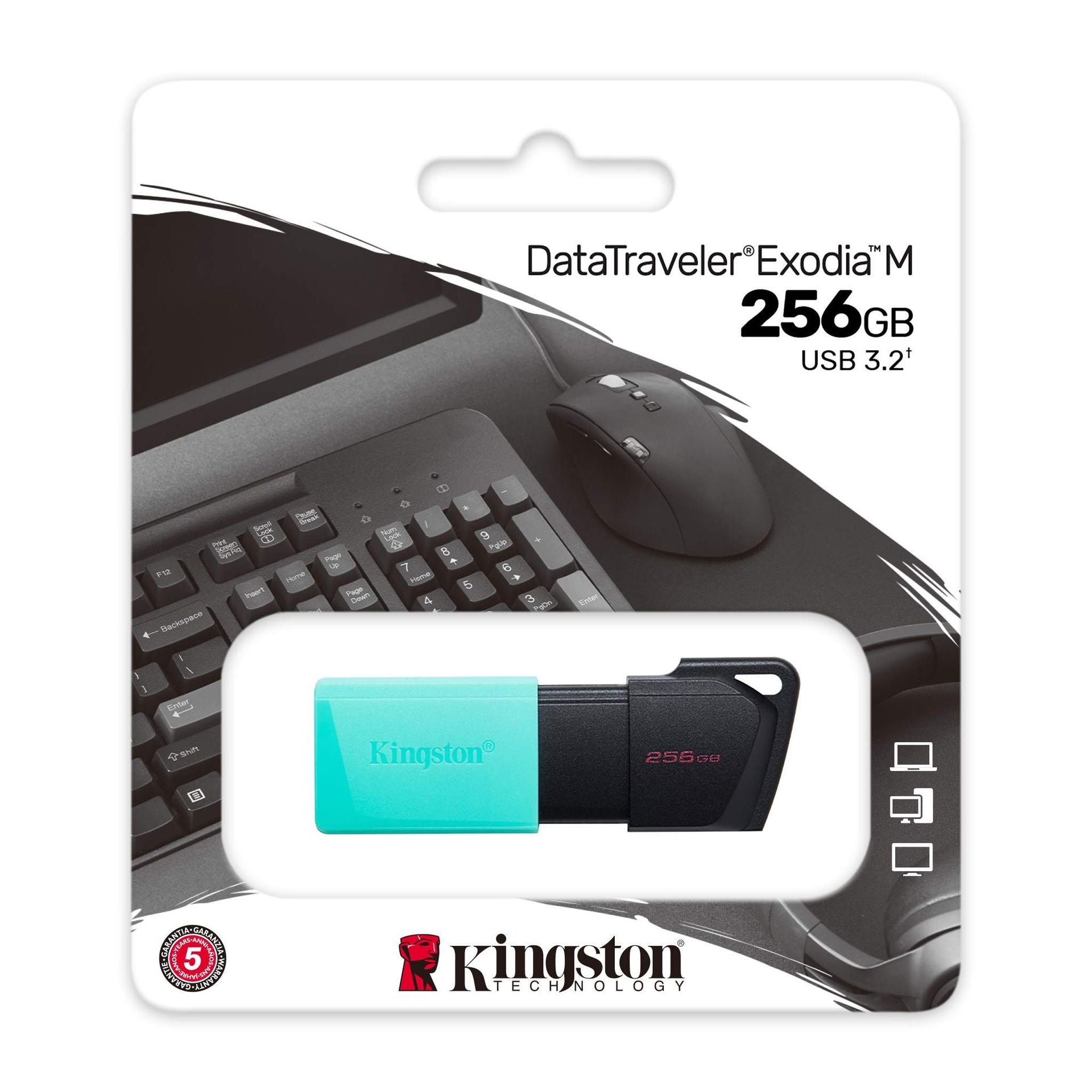 Kingston memoria exodia menta con negro 256GB usb 3.2 DTXM