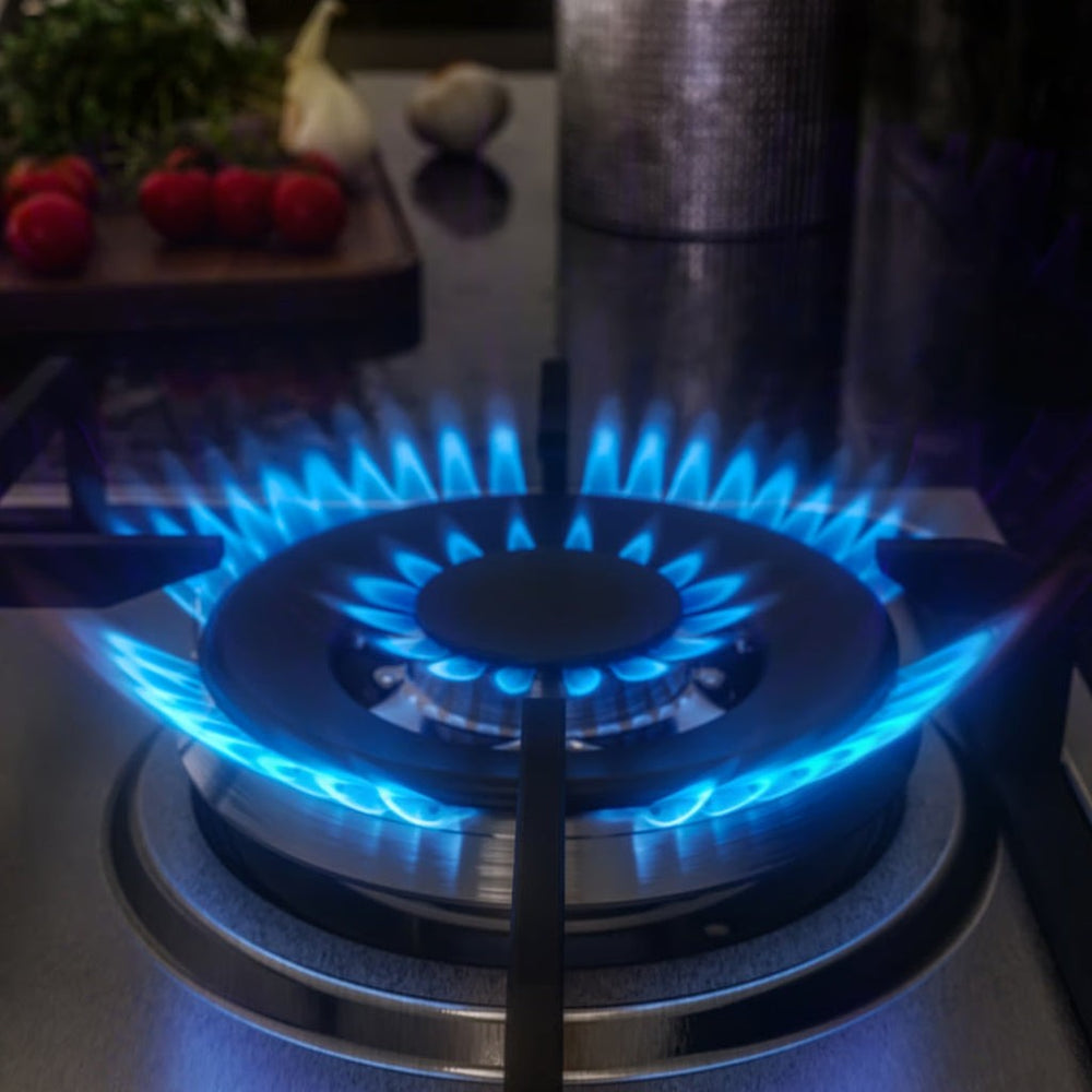 Frigidaire plantilla de gas 24" vidrio empotrable 4 quemadores FTGY24R0EMS